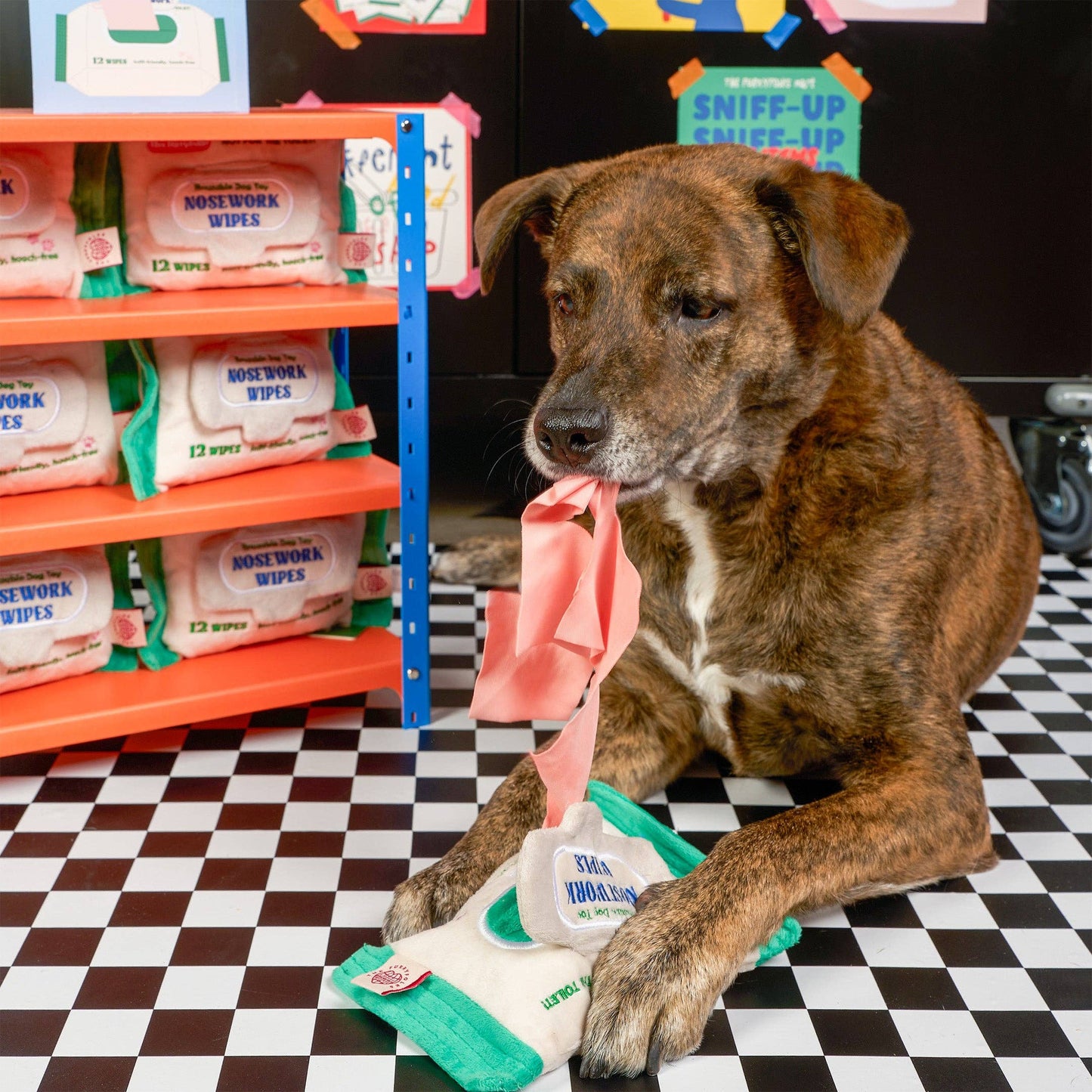 Jouet de fouille - Lingettes Doggo Wipe