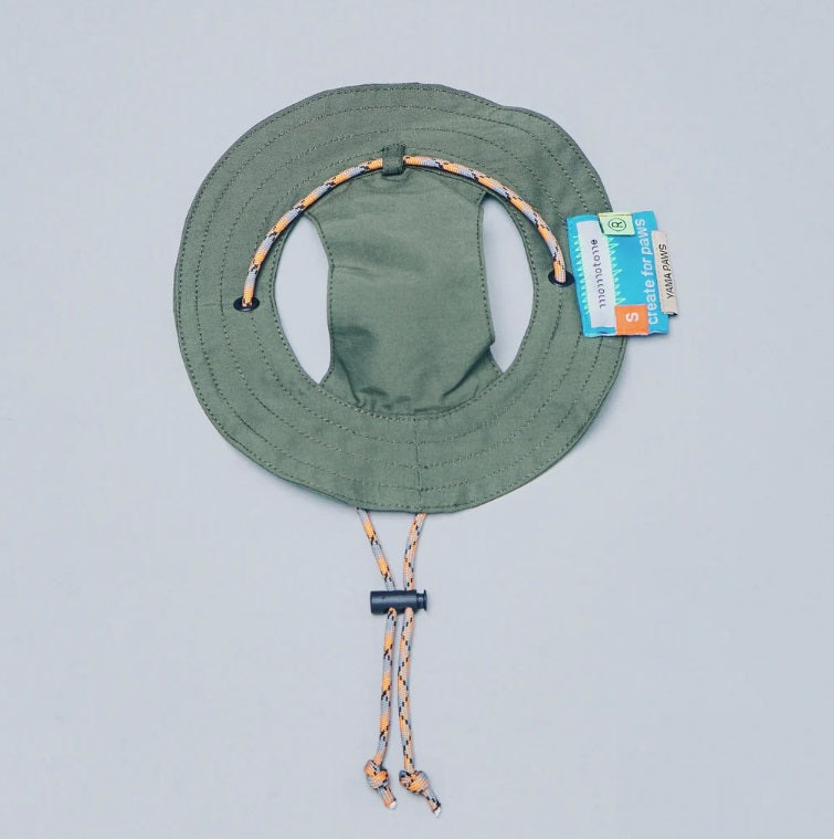 Bob - Chapeau pour Chiens et Chats