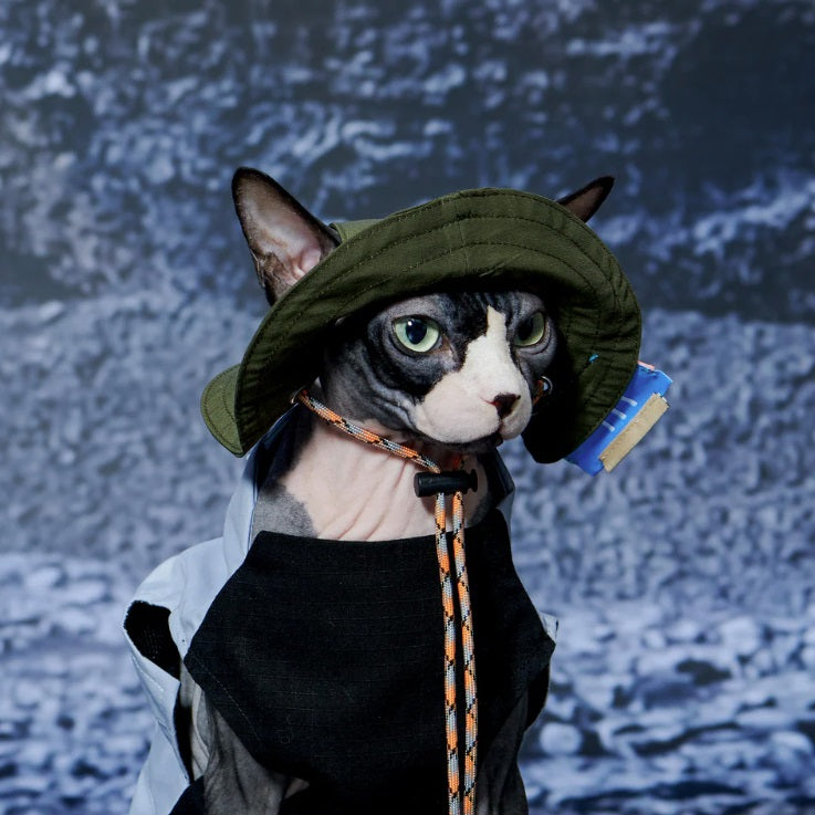 Bob - Chapeau pour Chiens et Chats