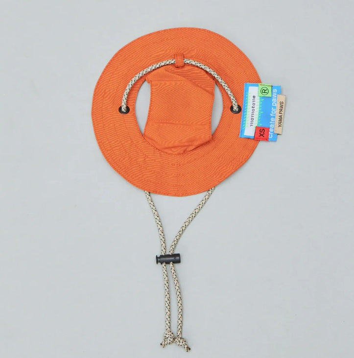 Bob - Chapeau pour Chiens et Chats