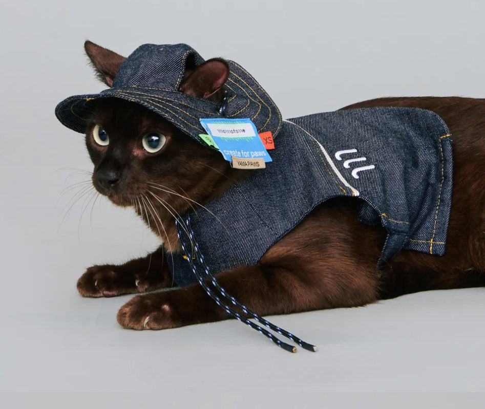 Bob - Chapeau pour Chiens et Chats