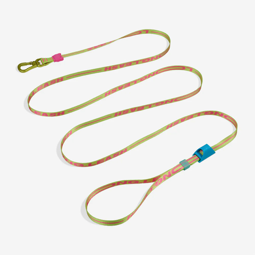 Long Leash ZEE DOG Laisse Longue Ajustable