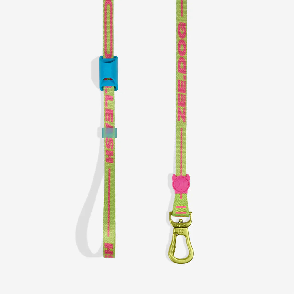 Long Leash ZEE DOG Laisse Longue Ajustable