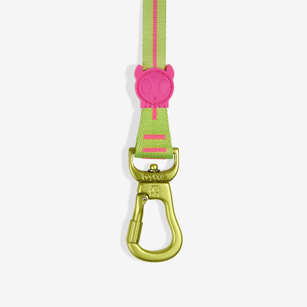 Long Leash ZEE DOG Laisse Longue Ajustable