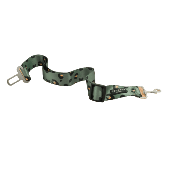 Ceinture de Sécurité Voiture