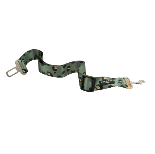 Ceinture de Sécurité Voiture