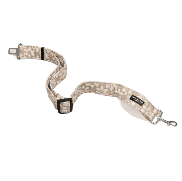 Ceinture de Sécurité Voiture