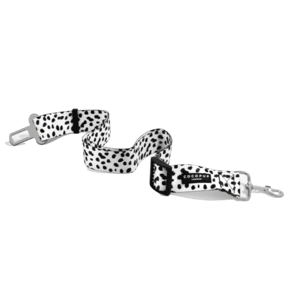 Ceinture de Sécurité Voiture