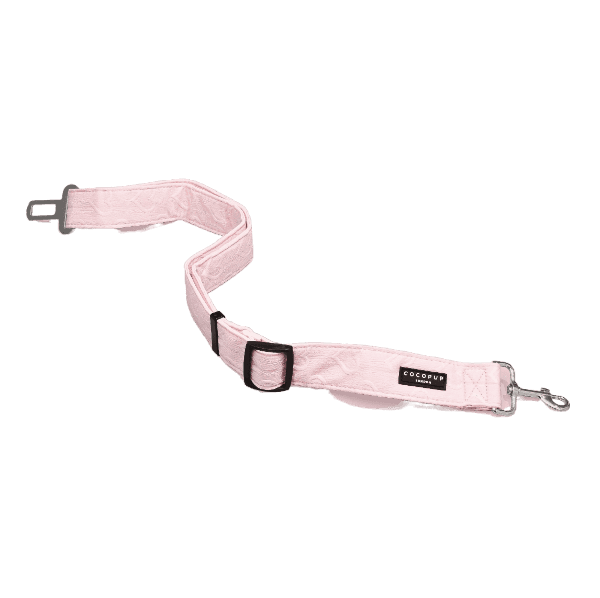 Ceinture de Sécurité Voiture