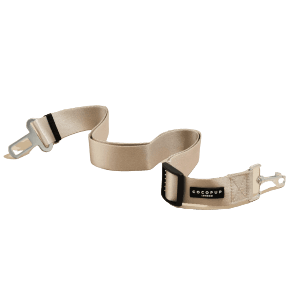 Ceinture de Sécurité Voiture