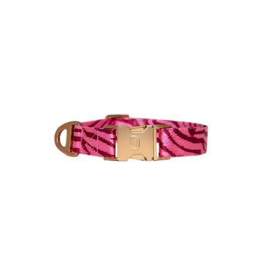 Collier pour Chien Zebra