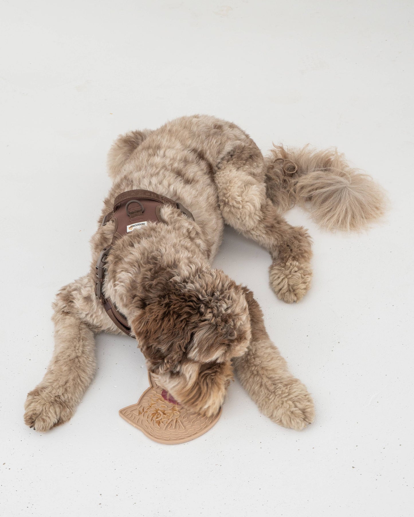 Tapis à lécher Clever Cat Enrichment