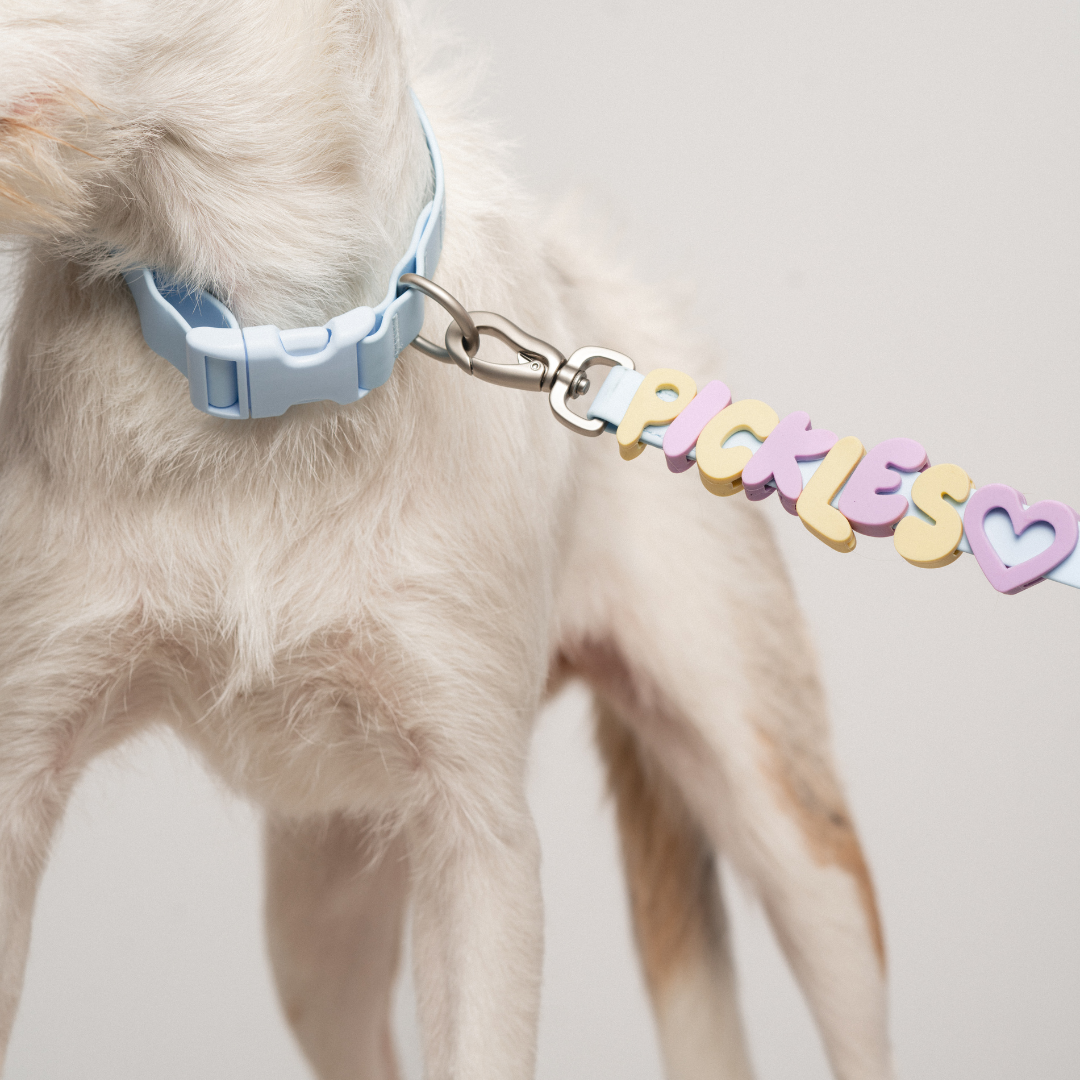 Charms lettres pour laisse ou collier