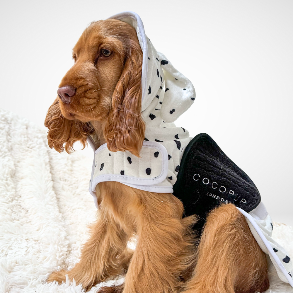 Peignoir de séchage dalmatien