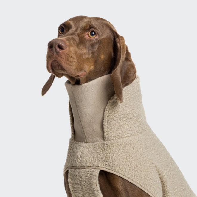 Polaire pour Chien Cloud 7 Gotland
