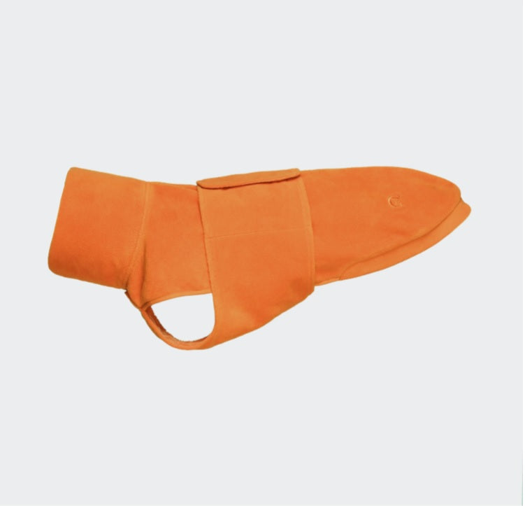 Polaire Spécial Teckel Cloud 7 - Derby