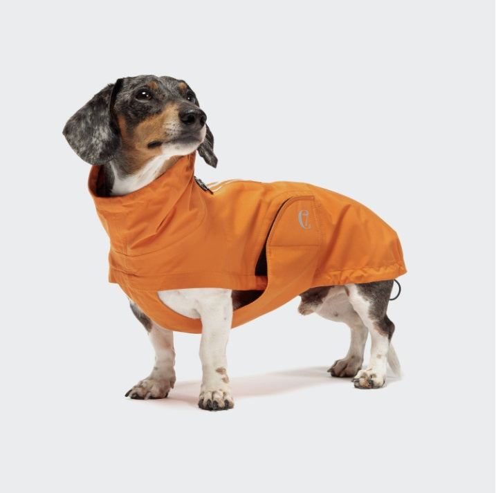 Imperméable Spécial Teckel Cloud 7 - Dublin