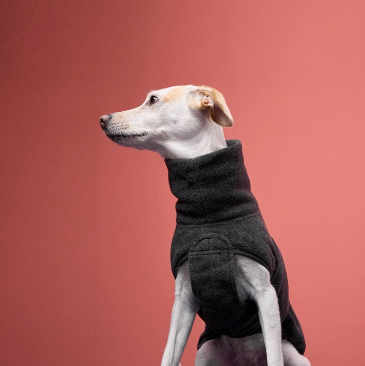 Polaire pour Chien Cloud 7 Derby