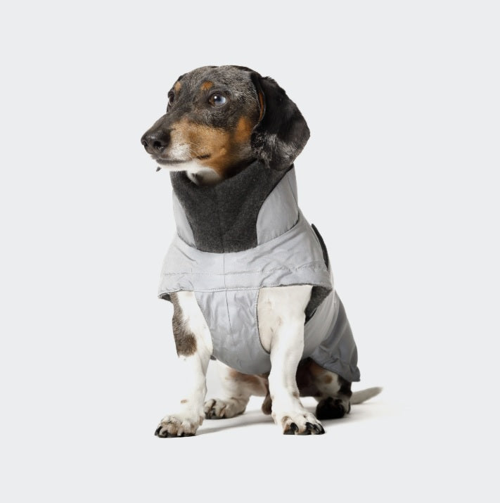 Imperméable Doublé Spécial Teckel Cloud 7 Brooklyn Gris Réfléchissant