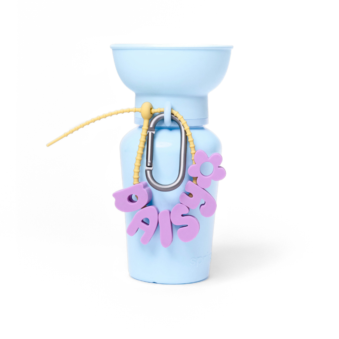 Charms lettres pour laisse ou collier