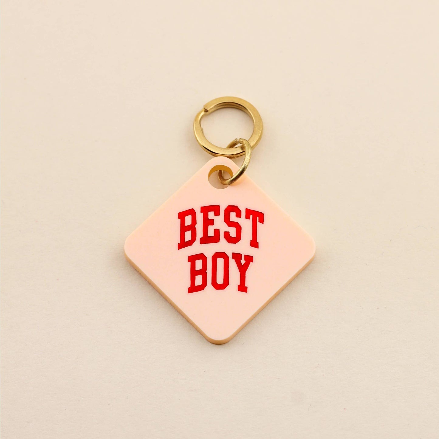 Étiquette pour animaux de compagnie Best Boy