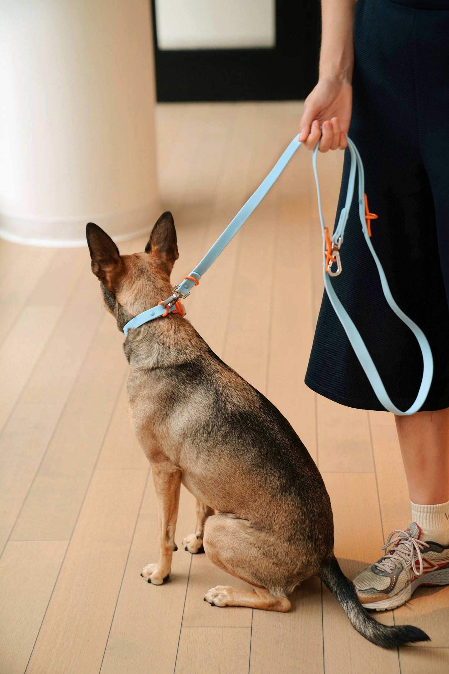 Laisse Multiposition pour Chien Imperméable