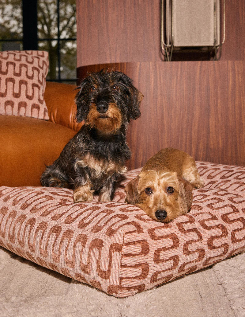 Panier waves pour chien