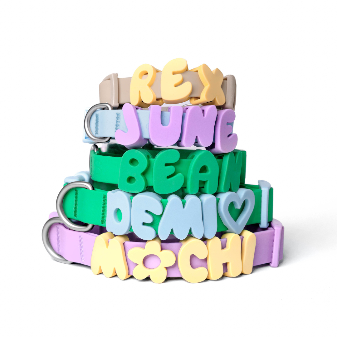 Charms lettres pour laisse ou collier