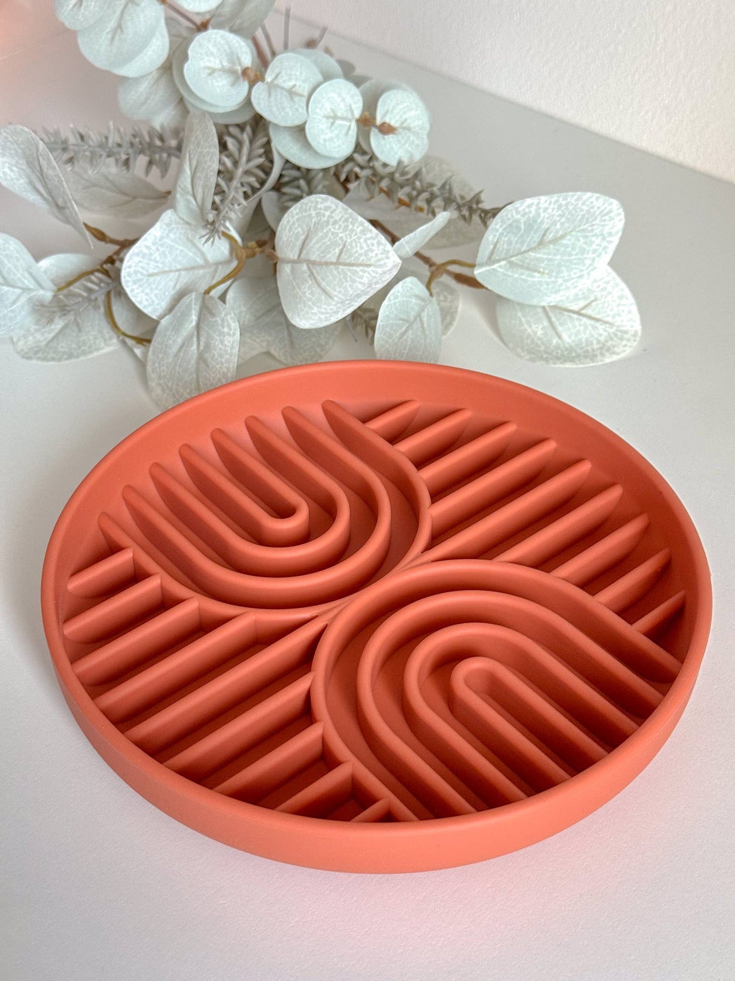 Tapis de léchage arc en ciel