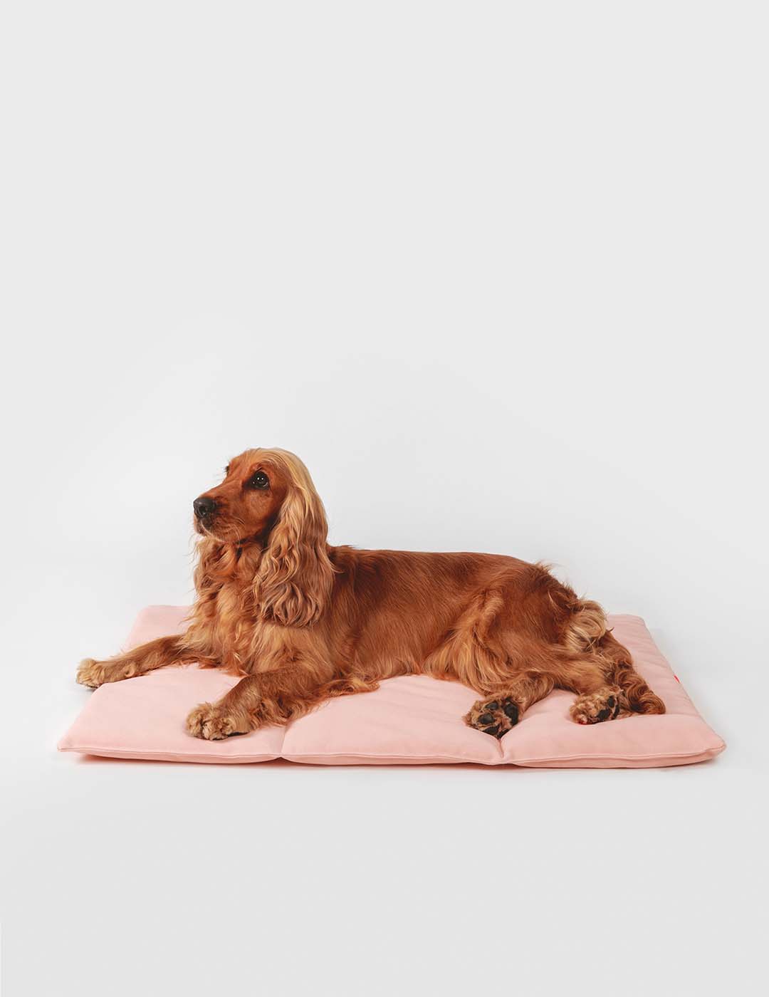 Nomad Bed