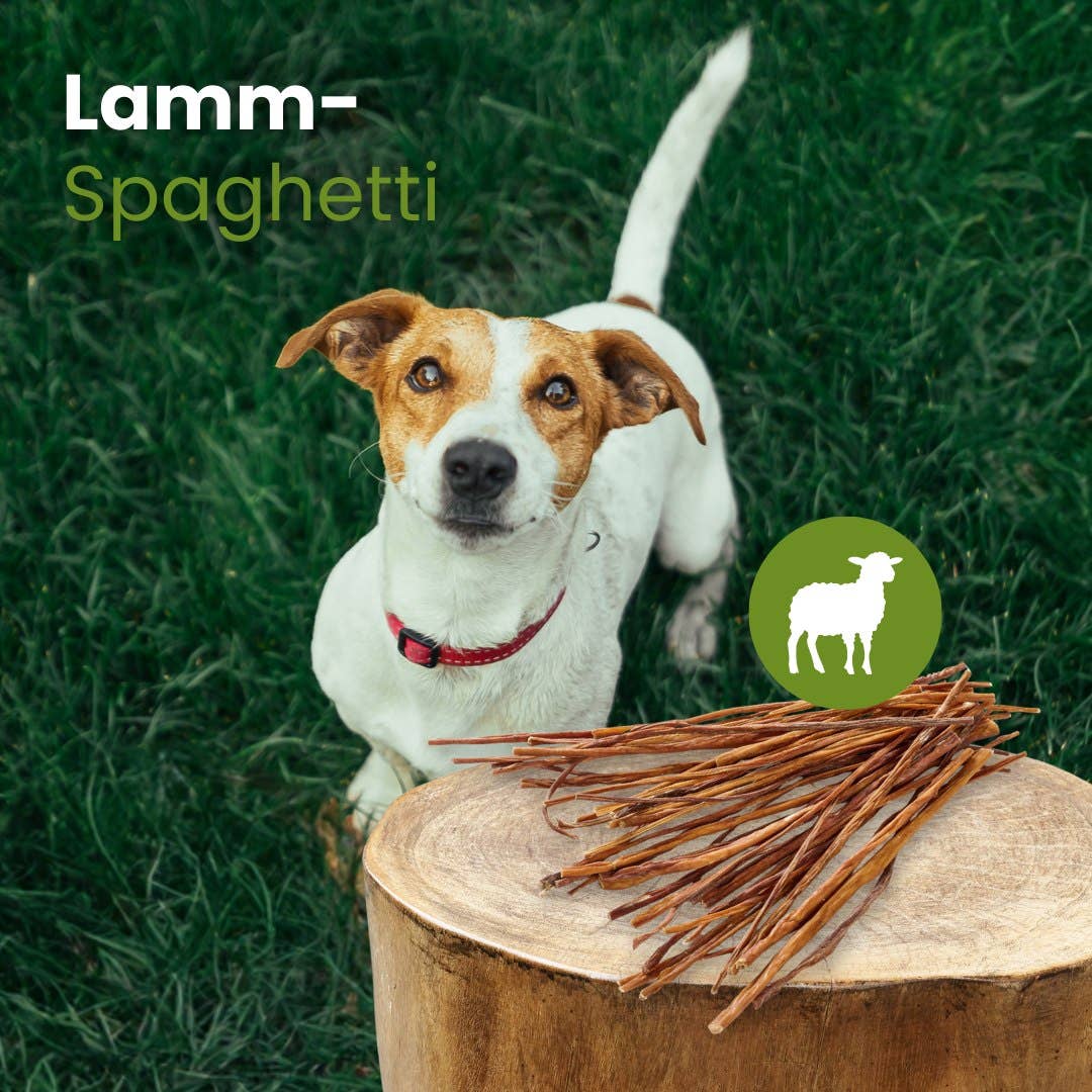 Spaghetti d'agneau naturel pour chiens