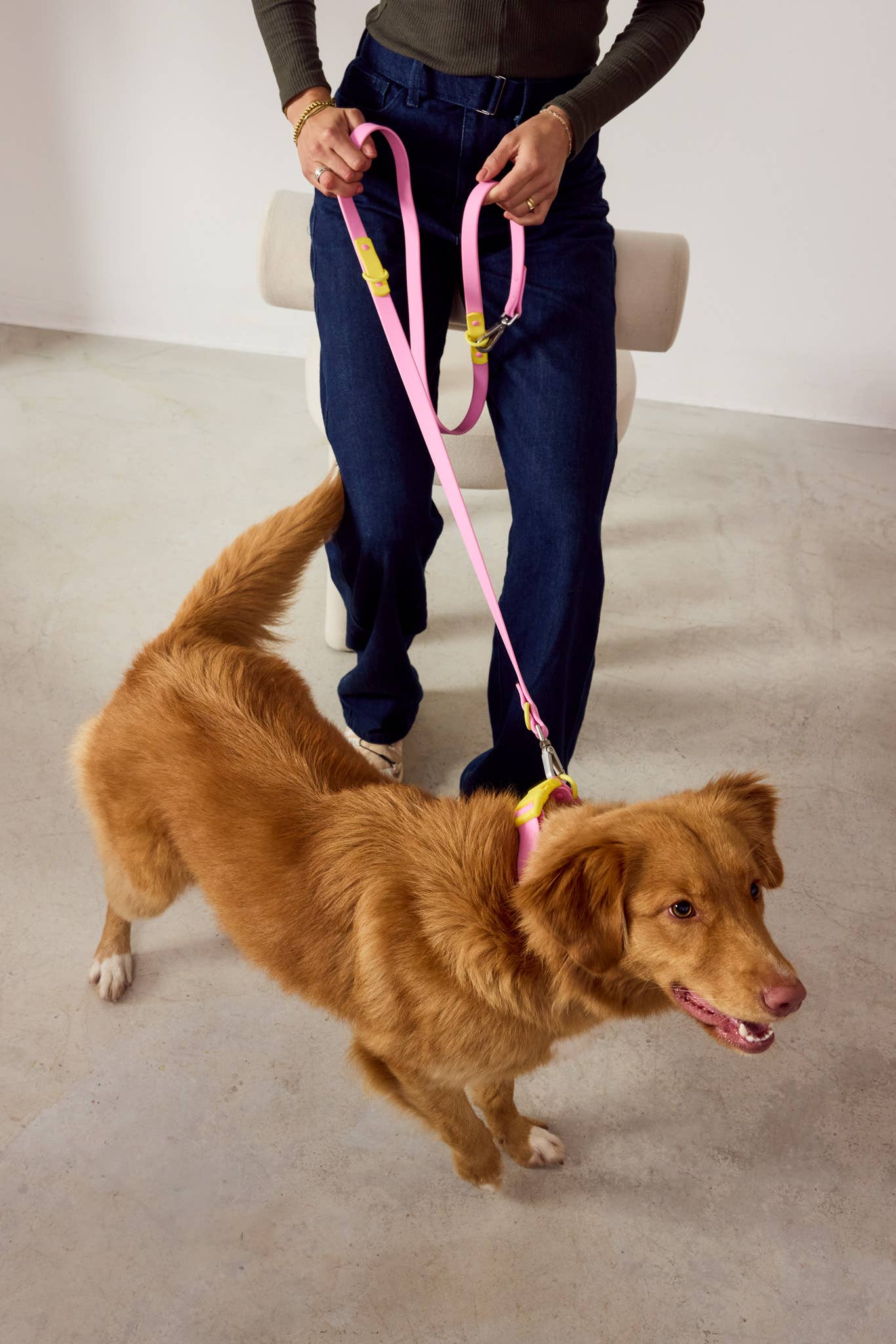 Laisse Multiposition pour Chien Imperméable