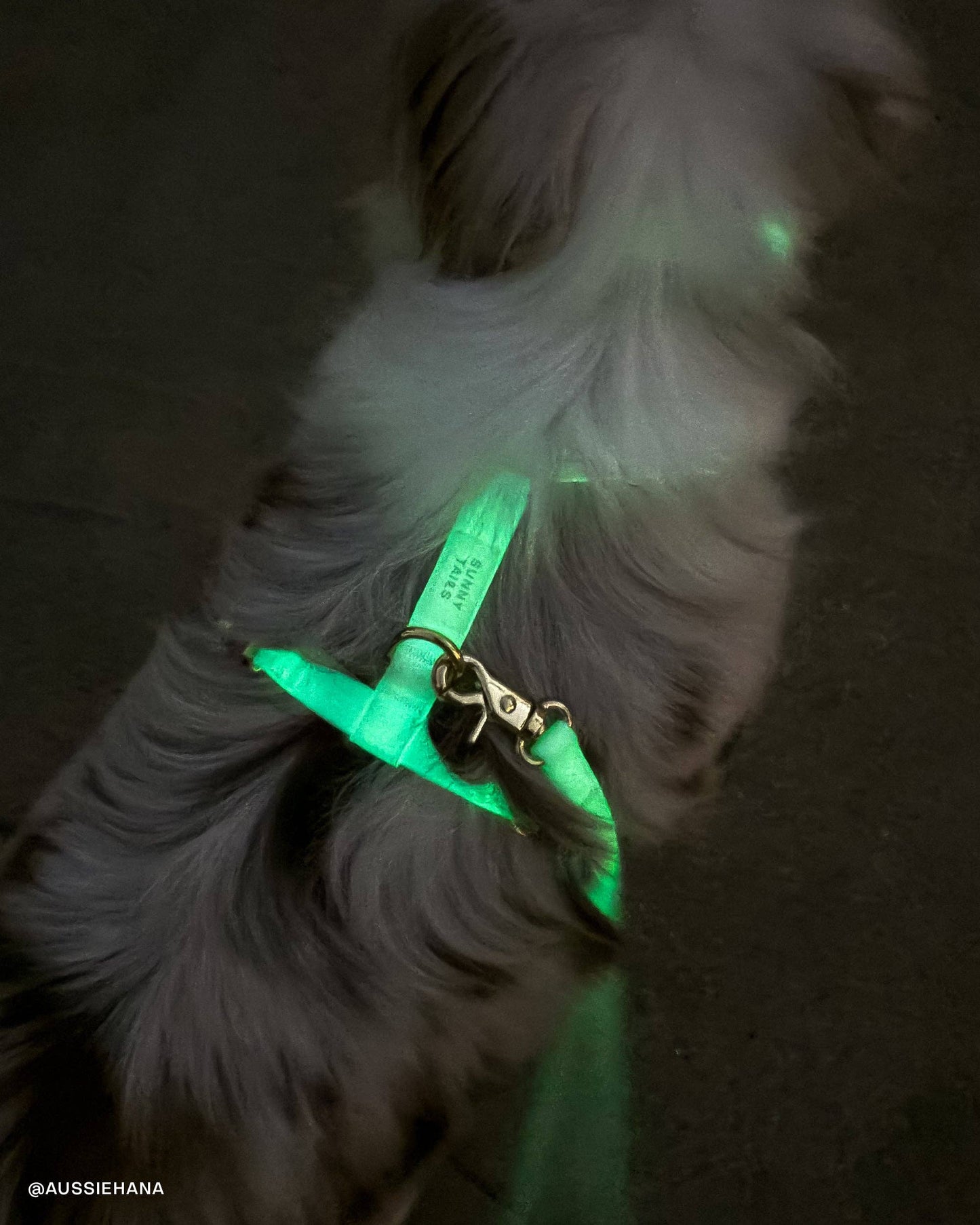 Harnais waterproof pour chien