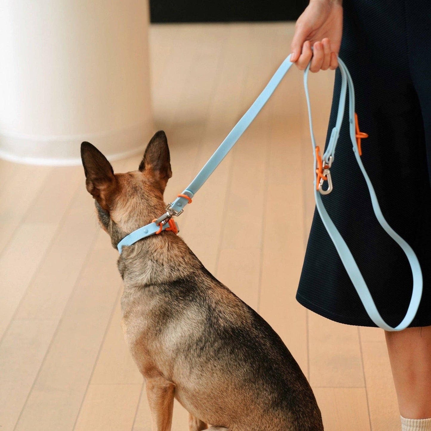 Collier pour Chien Imperméable