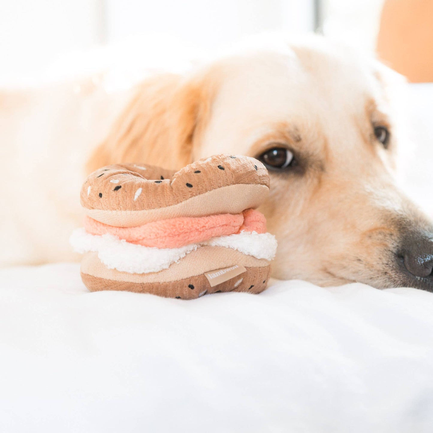 Jouet de fouille - Bagel + Cornichon