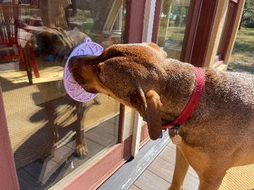 Tapis de léchage lotus avec ventouses