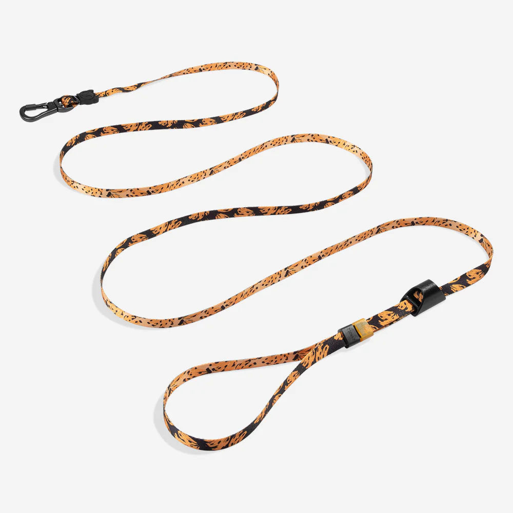 Long Leash ZEE DOG Laisse Longue Ajustable