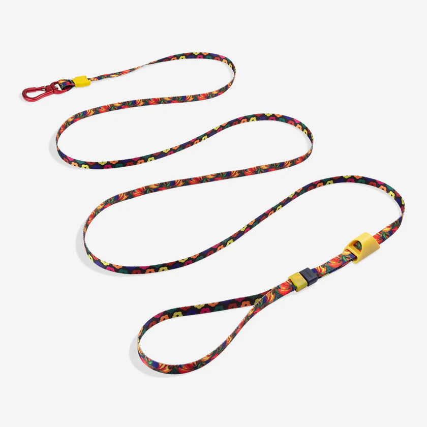Long Leash ZEE DOG Laisse Longue Ajustable