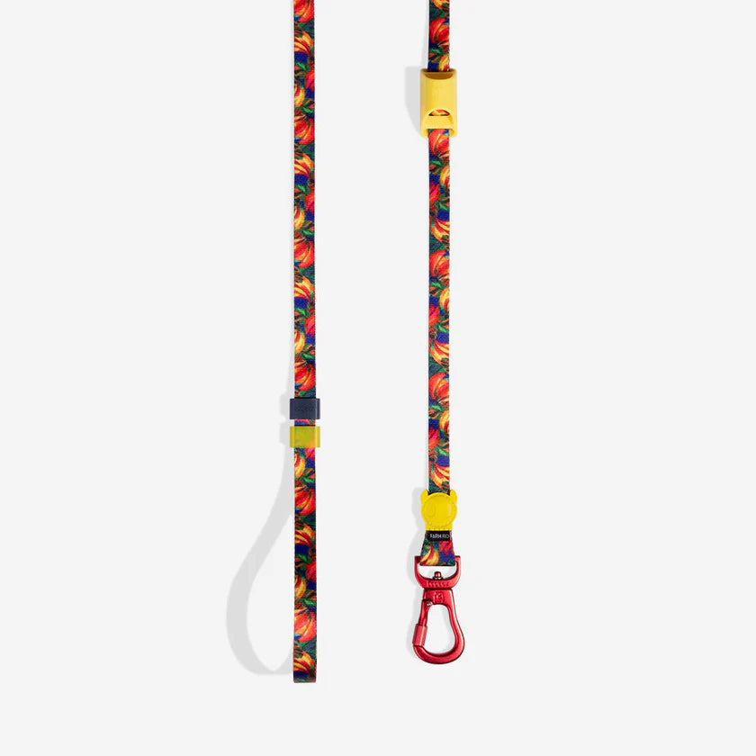 Long Leash ZEE DOG Laisse Longue Ajustable