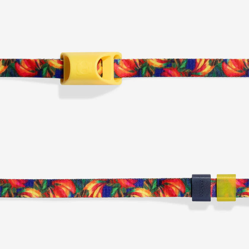 Long Leash ZEE DOG Laisse Longue Ajustable