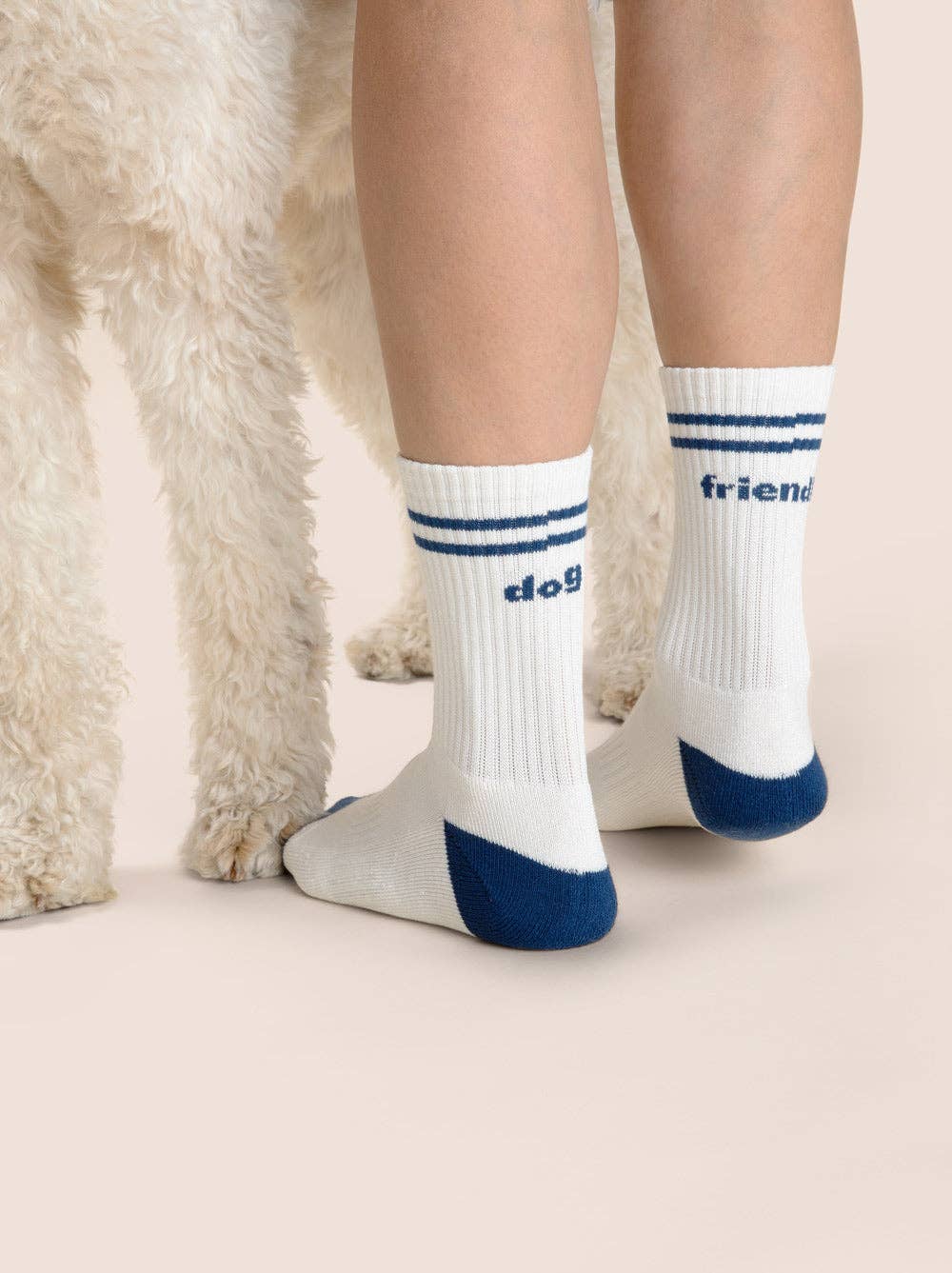 Chaussettes dog friendly