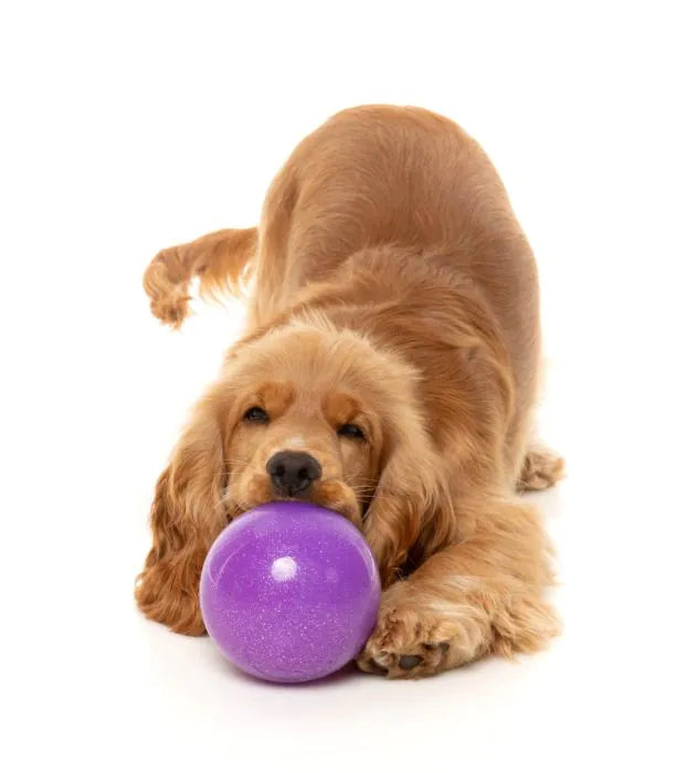 Truth Tellin’ Treat Ball 🔮🐾