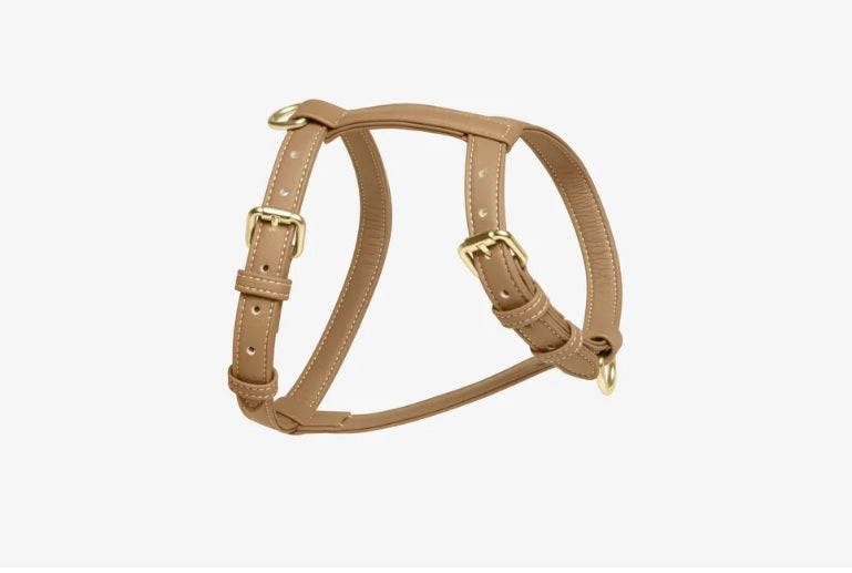 Harnais pour Chien - Cuir Végétal