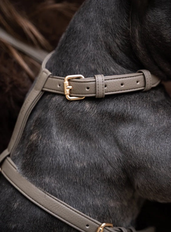 Harnais pour Chien - Cuir Végétal