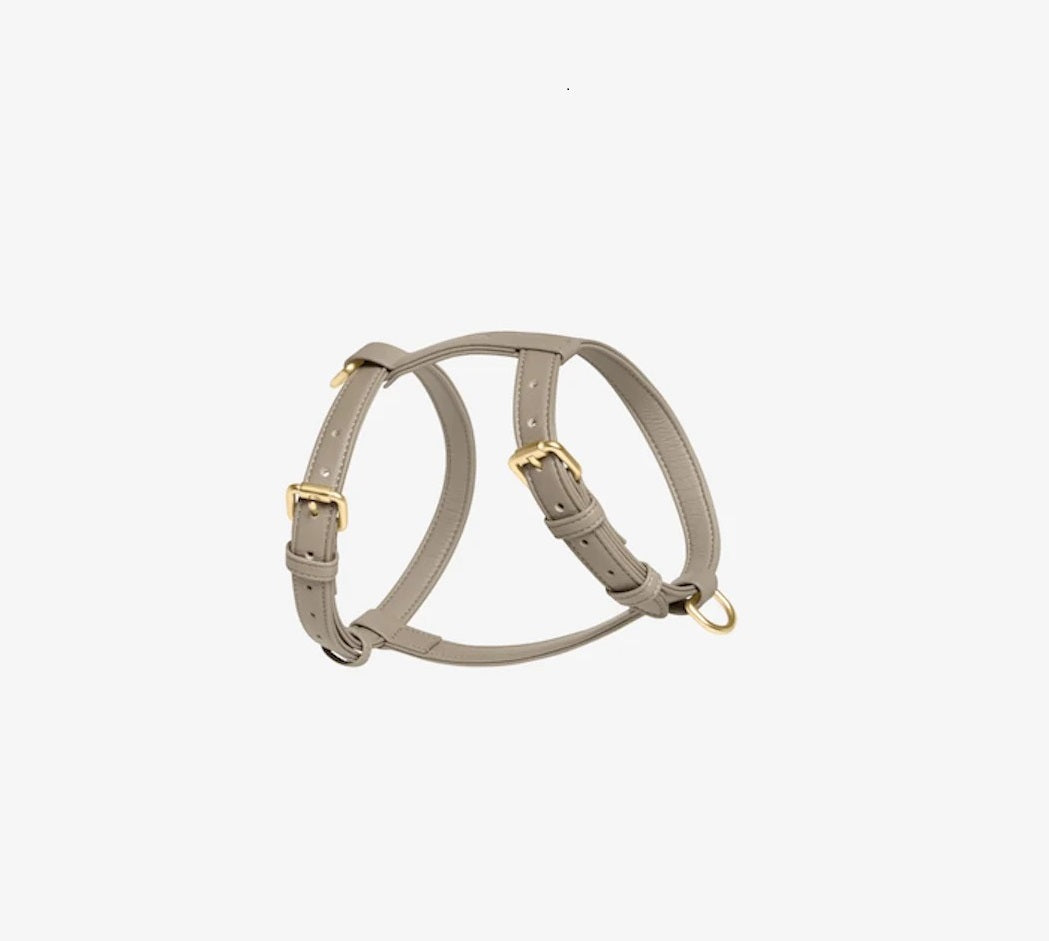 Harnais pour Chien - Cuir Végétal