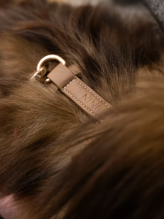 Harnais pour Chien - Cuir Végétal
