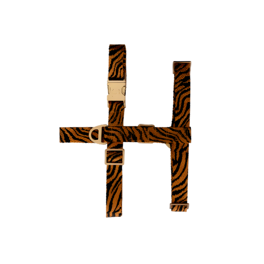 Harnais Zebra