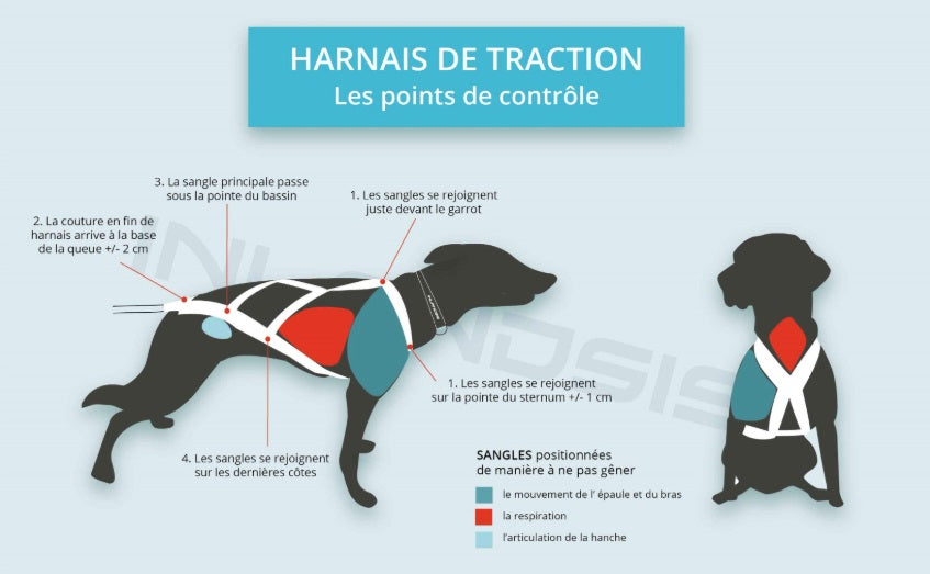 Harnais Canicross Open Back - Spécial Petits Frimeurs