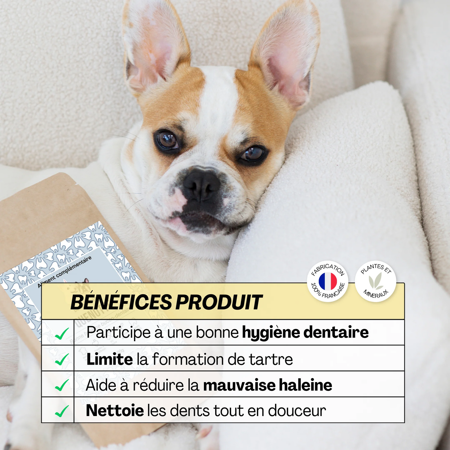 Complément alimentaire Quenotte