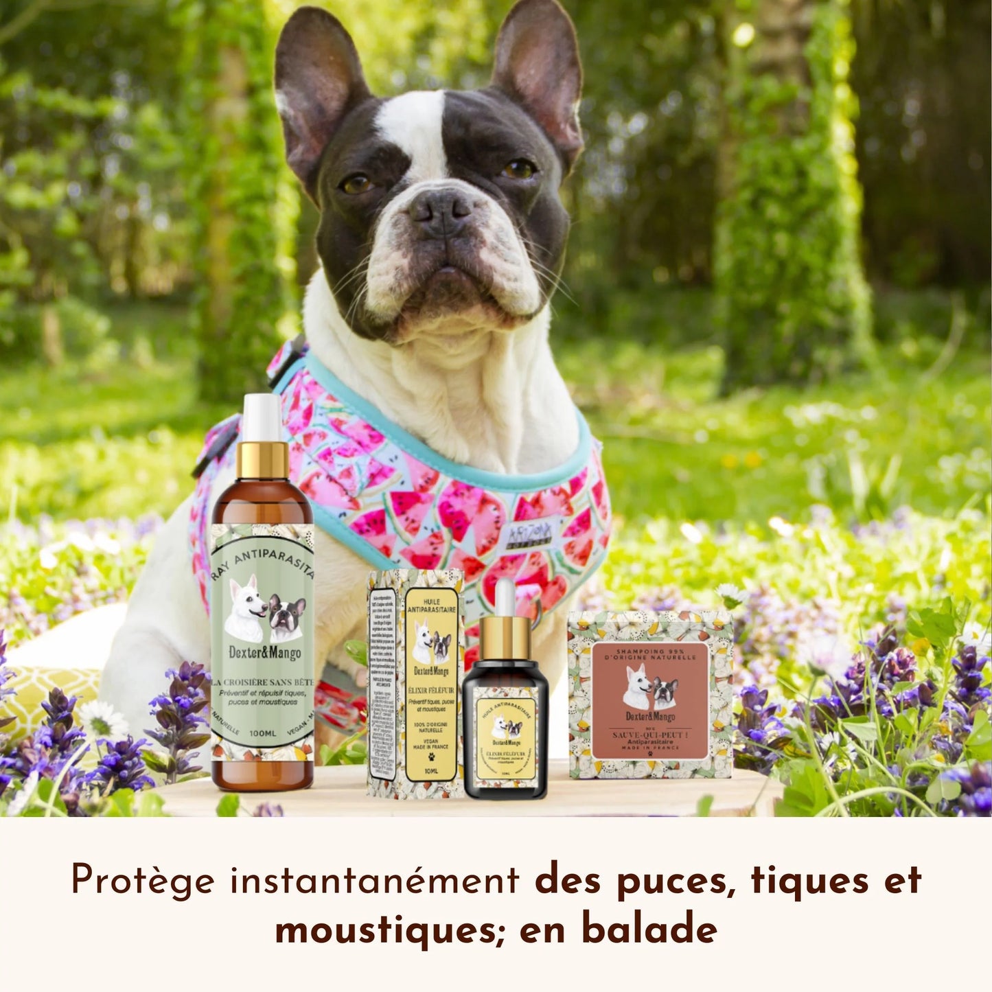 Lotion antiparasitaire, la croisière sans bête